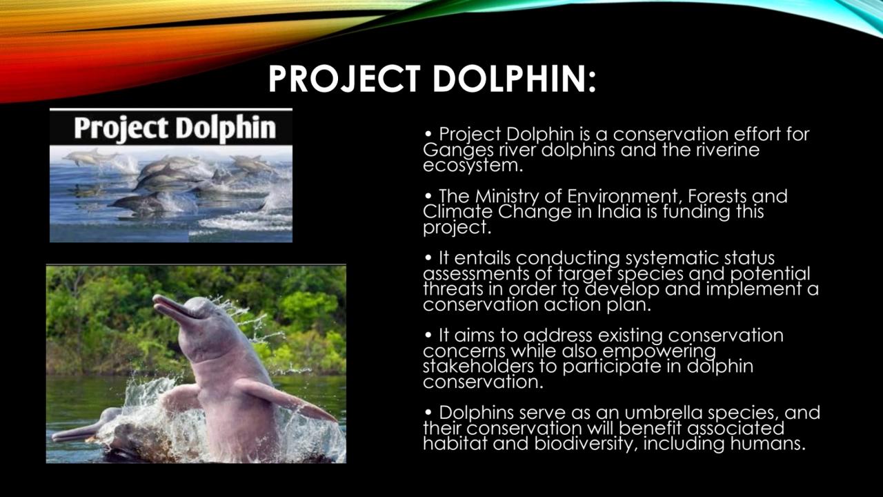 PROJECT DOLPHIN:
• Project Dolphin is a conservation effort for 
Ganges river dolphins and the ri…