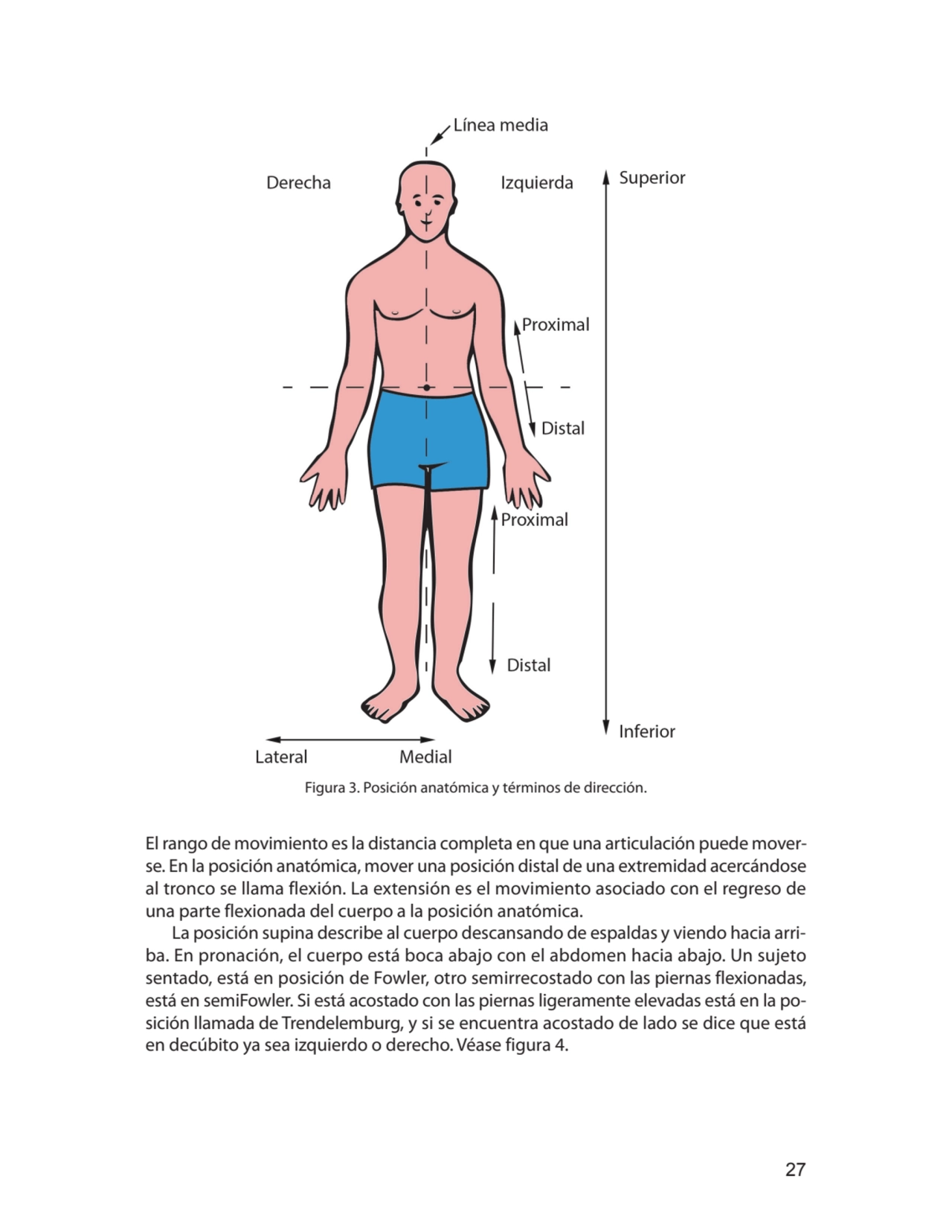 27
Figura 3. Posición anatómica y términos de dirección.
El rango de movimiento es la distancia c…