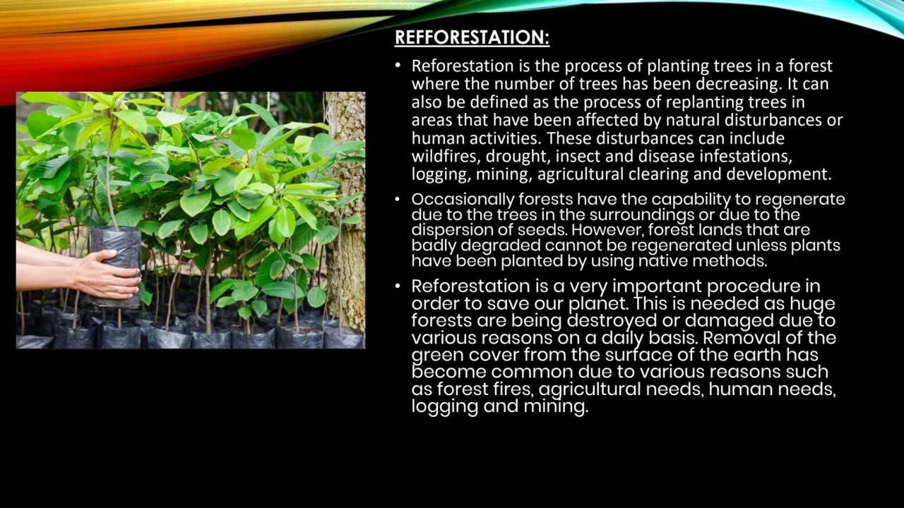 REFFORESTATION:
• Reforestation is the process of planting trees in a forest 
where the number of…