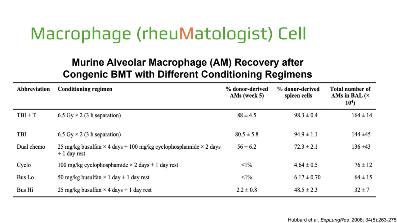 Macrophage (rheuMatologist) Cell
Murine Alveolar Macrophage (AM) Recovery after 
Congenic BMT wit…