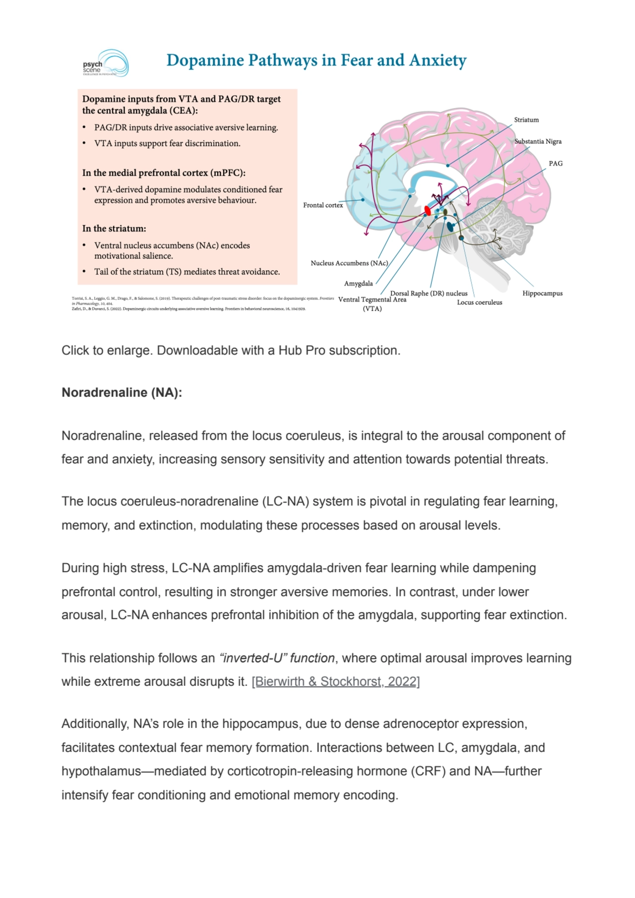 Click to enlarge. Downloadable with a Hub Pro subscription.
Noradrenaline (NA):
Noradrenaline, re…