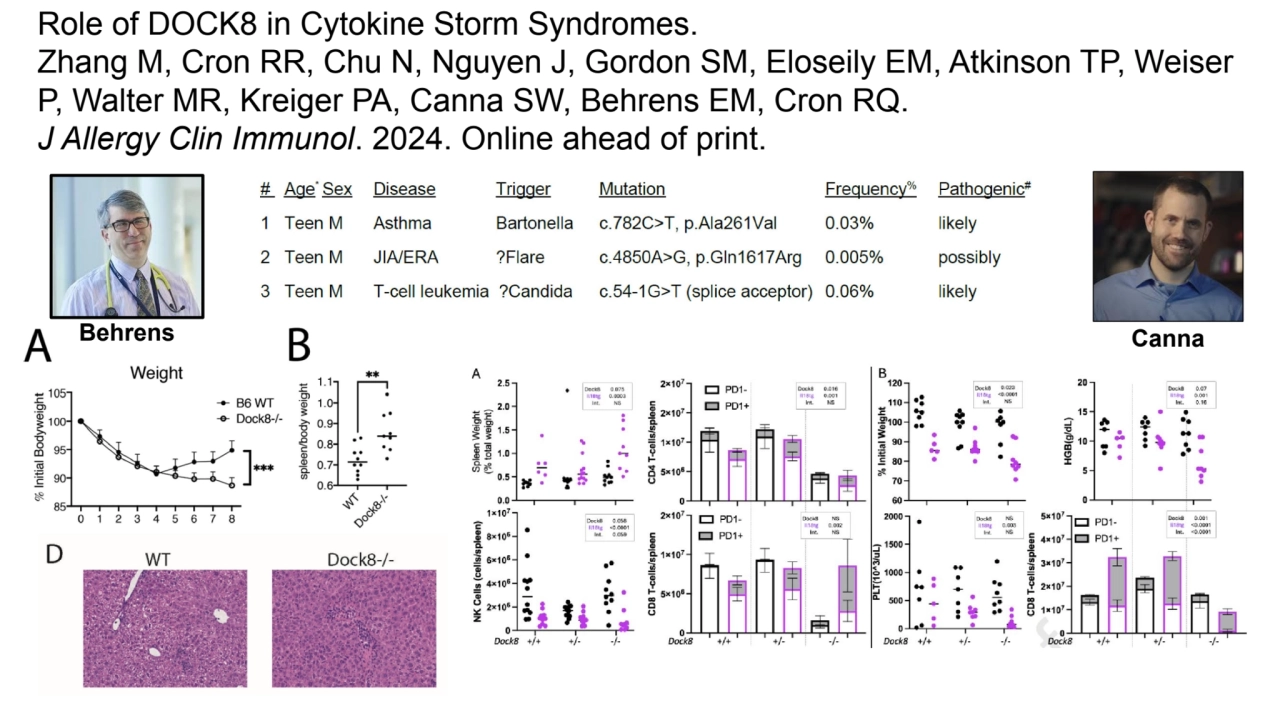 Role of DOCK8 in Cytokine Storm Syndromes.
Zhang M, Cron RR, Chu N, Nguyen J, Gordon SM, Eloseily …