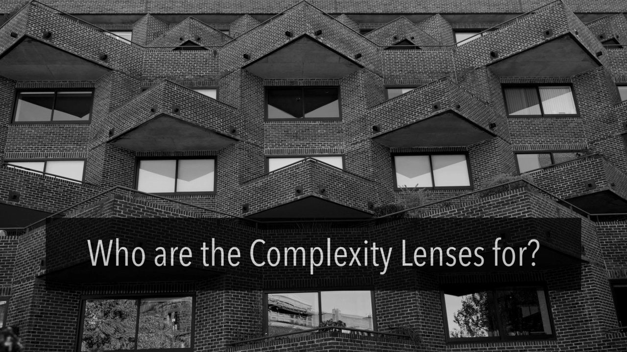 Who are the Complexity Lenses for?