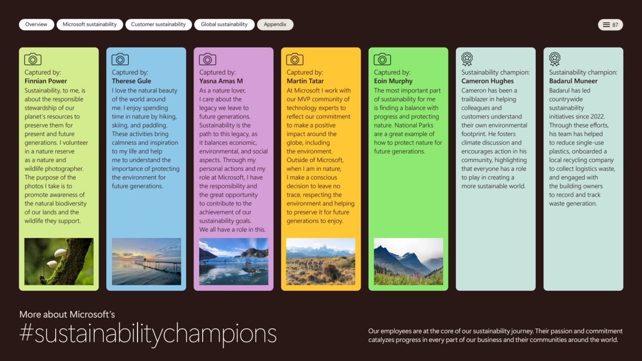  
Overview Microsoft sustainability Customer sustainability Global sustainability Appendix 87
Cap…