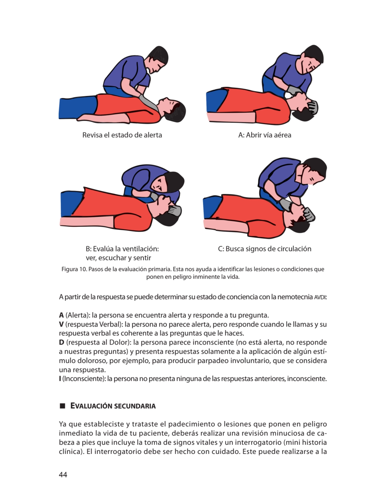 44
Figura 10. Pasos de la evaluación primaria. Esta nos ayuda a identificar las lesiones o condici…