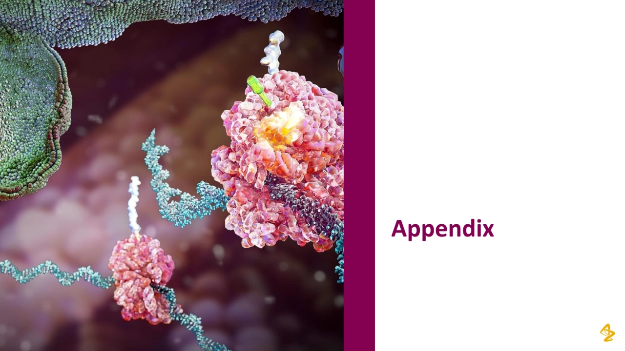Appendix