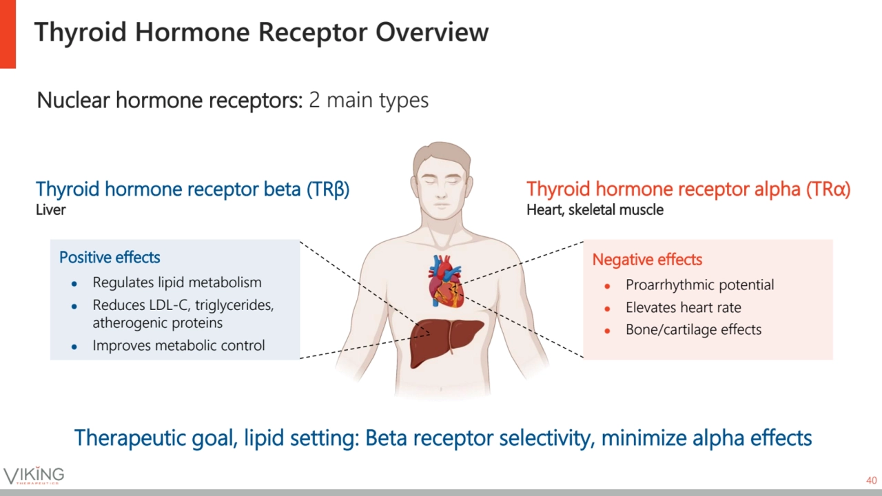 Thyroid Hormone Receptor Overview 
40
Nuclear hormone receptors: 2 main types
Positive effects
…