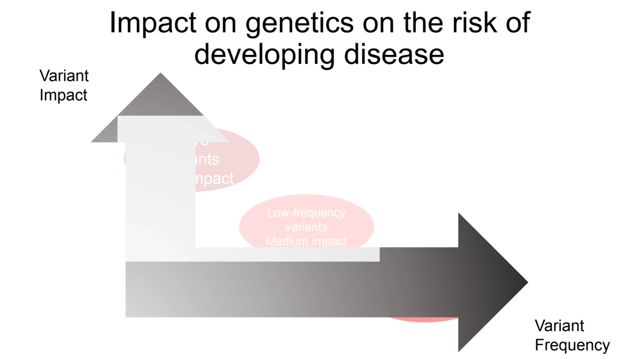 Impact on genetics on the risk of 
developing disease
Rare 
variants
High impact
Common 
vari…