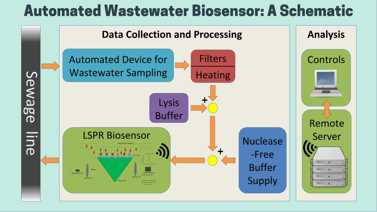 Automated Wastewater Biosensor: A Schematic