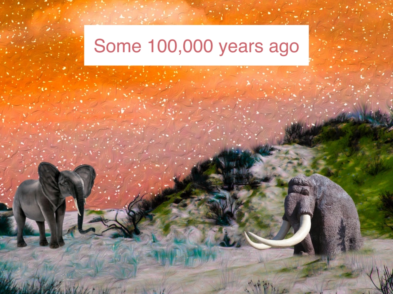 Some 100,000 years ago