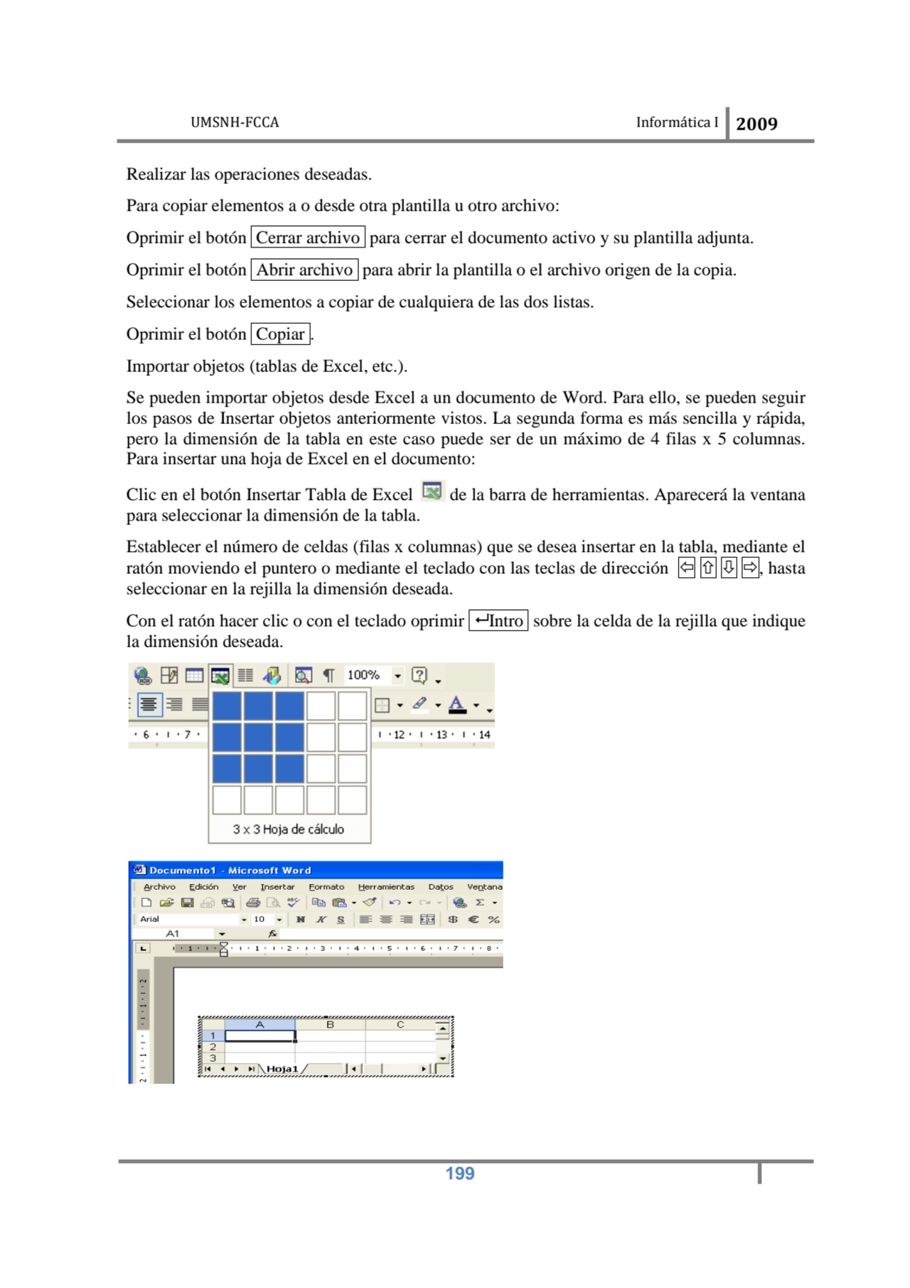 UMSNH-FCCA Informática I 2009
 199
Realizar las operaciones deseadas. 
Para copiar elementos a o…