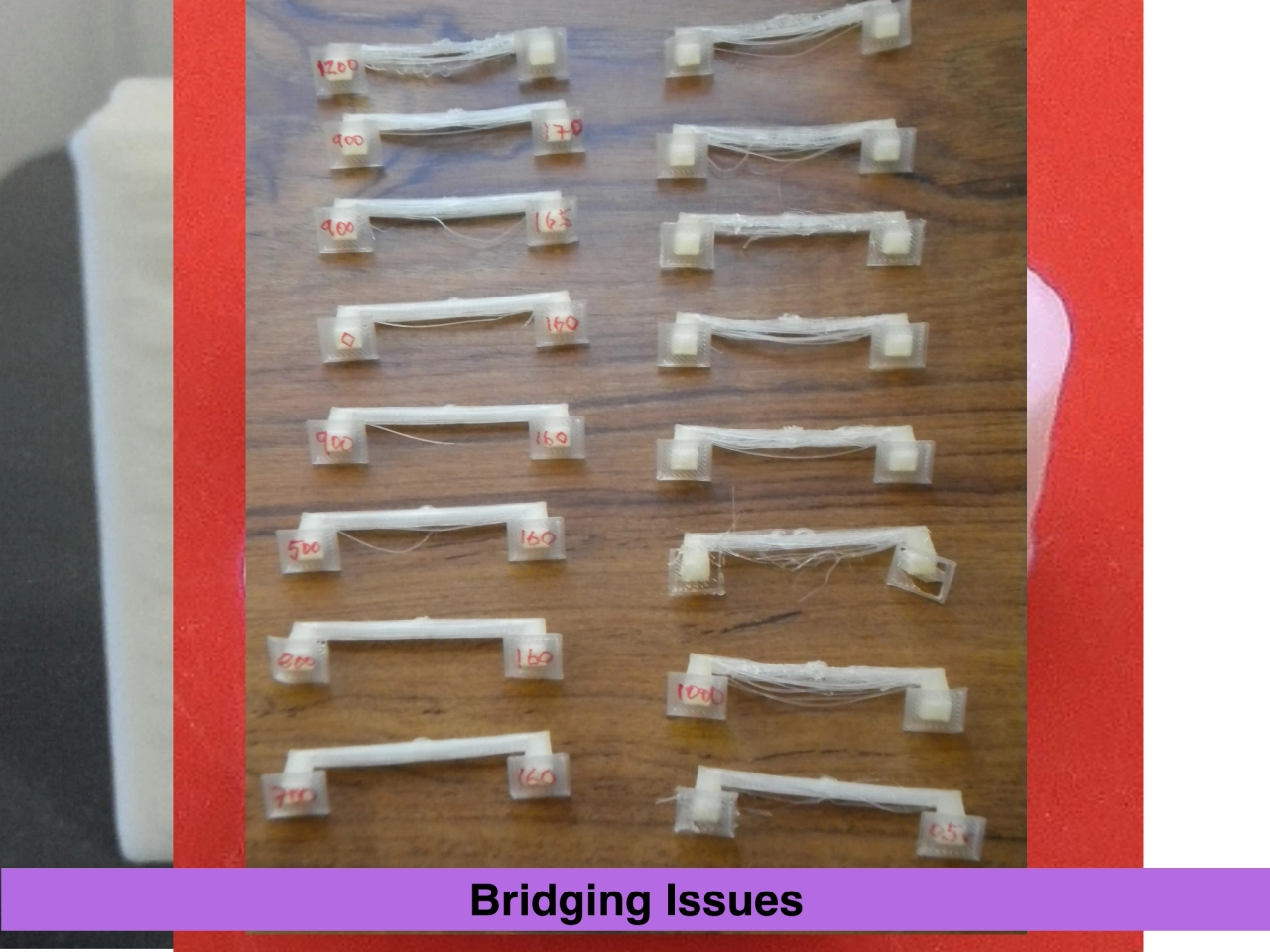 Bridging Issues