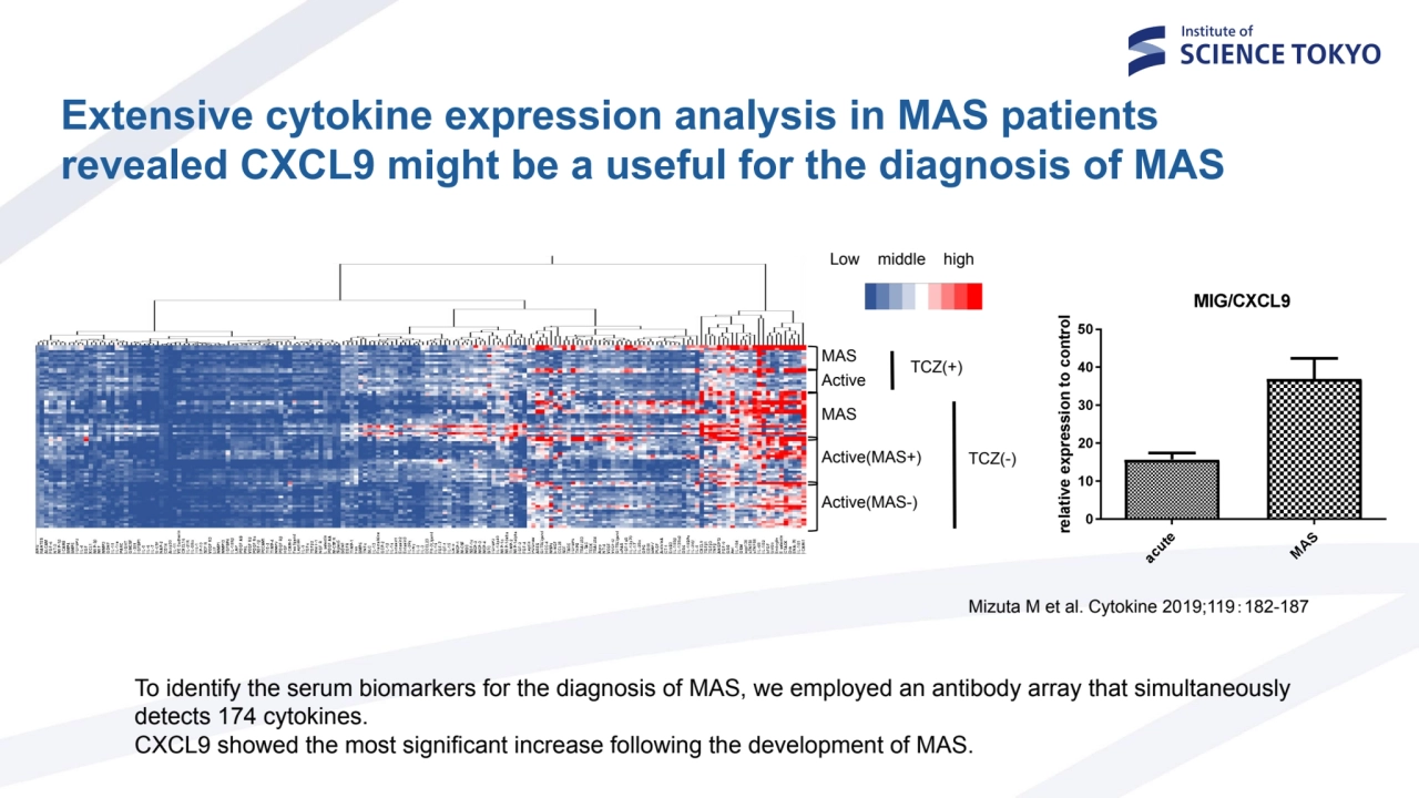 Low middle high
MAS
Active
TCZ(+)
MAS
Active(MAS+)
Active(MAS-)
TCZ(-)
Extensive cytokine e…