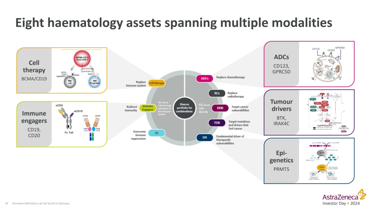 Investor Day • 2024
Eight haematology assets spanning multiple modalities
Cell 
therapy
BCMA/CD…