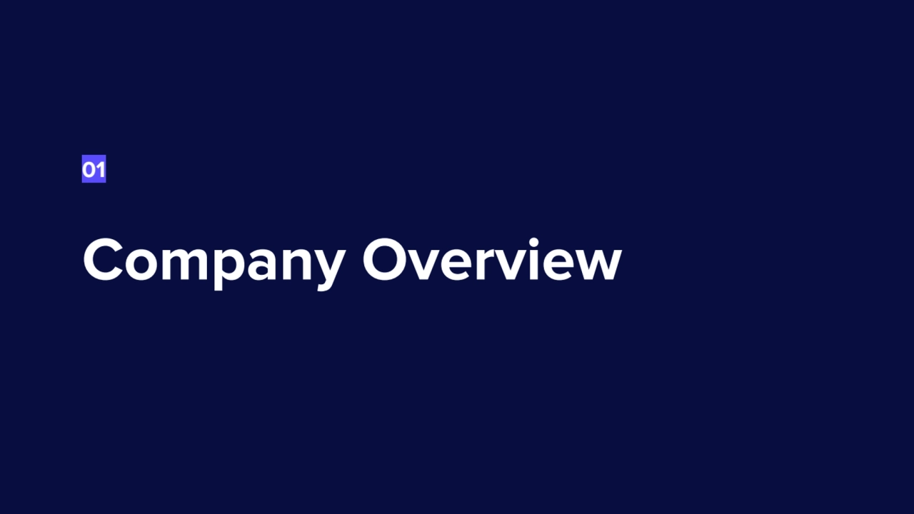Company Overview
01