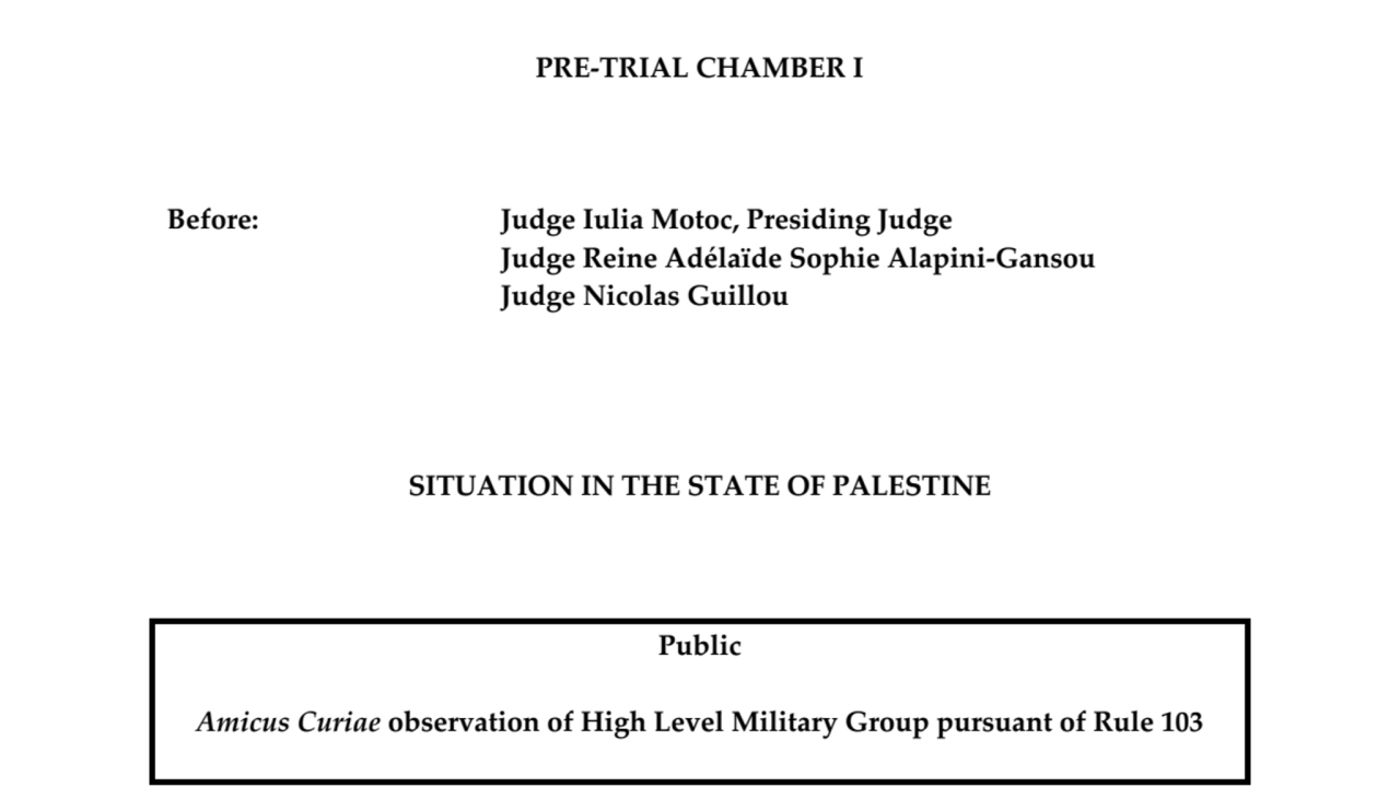 HIGH LEVEL AMICUS BRIEF.pdf