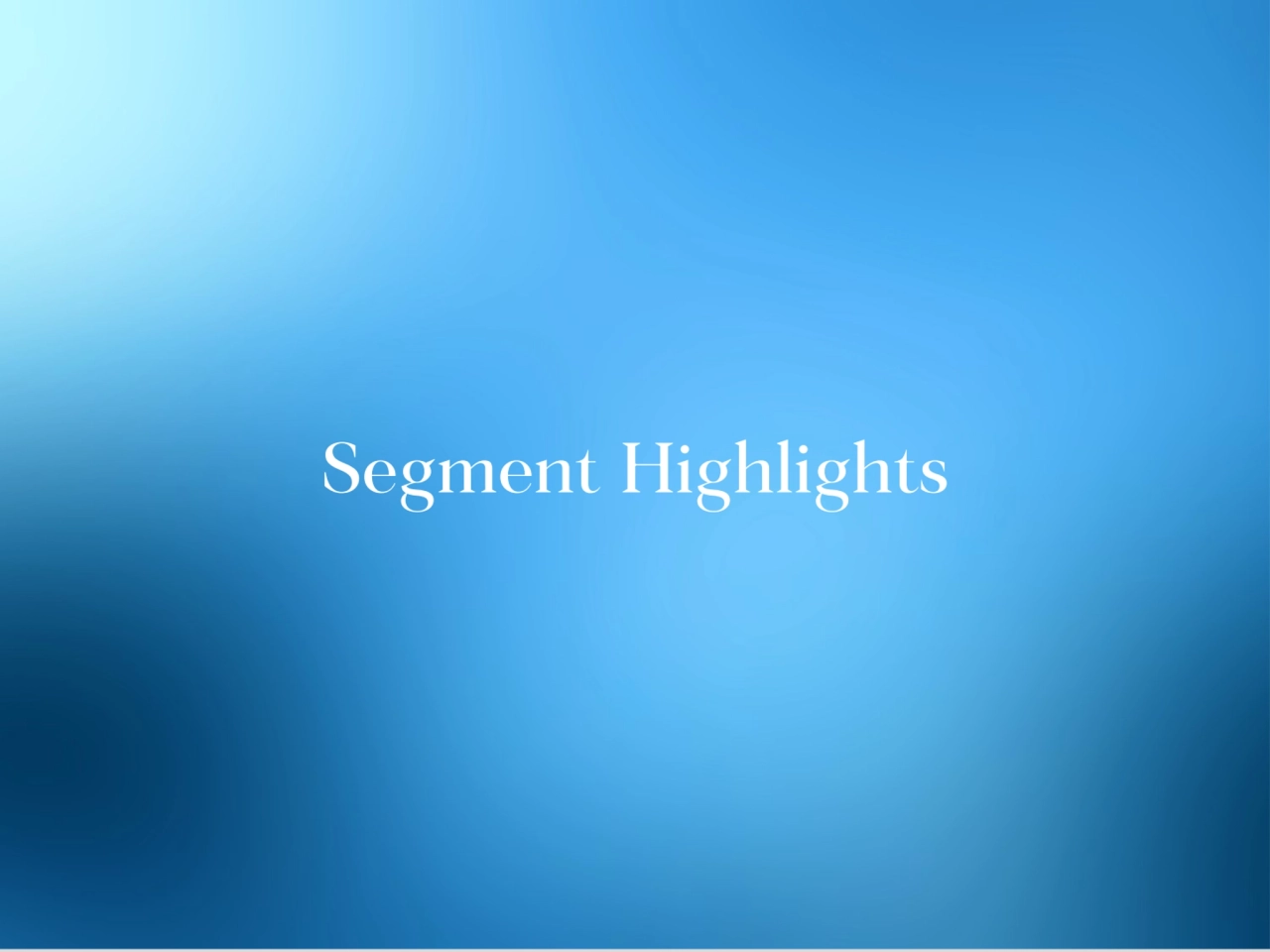 Segment Highlights