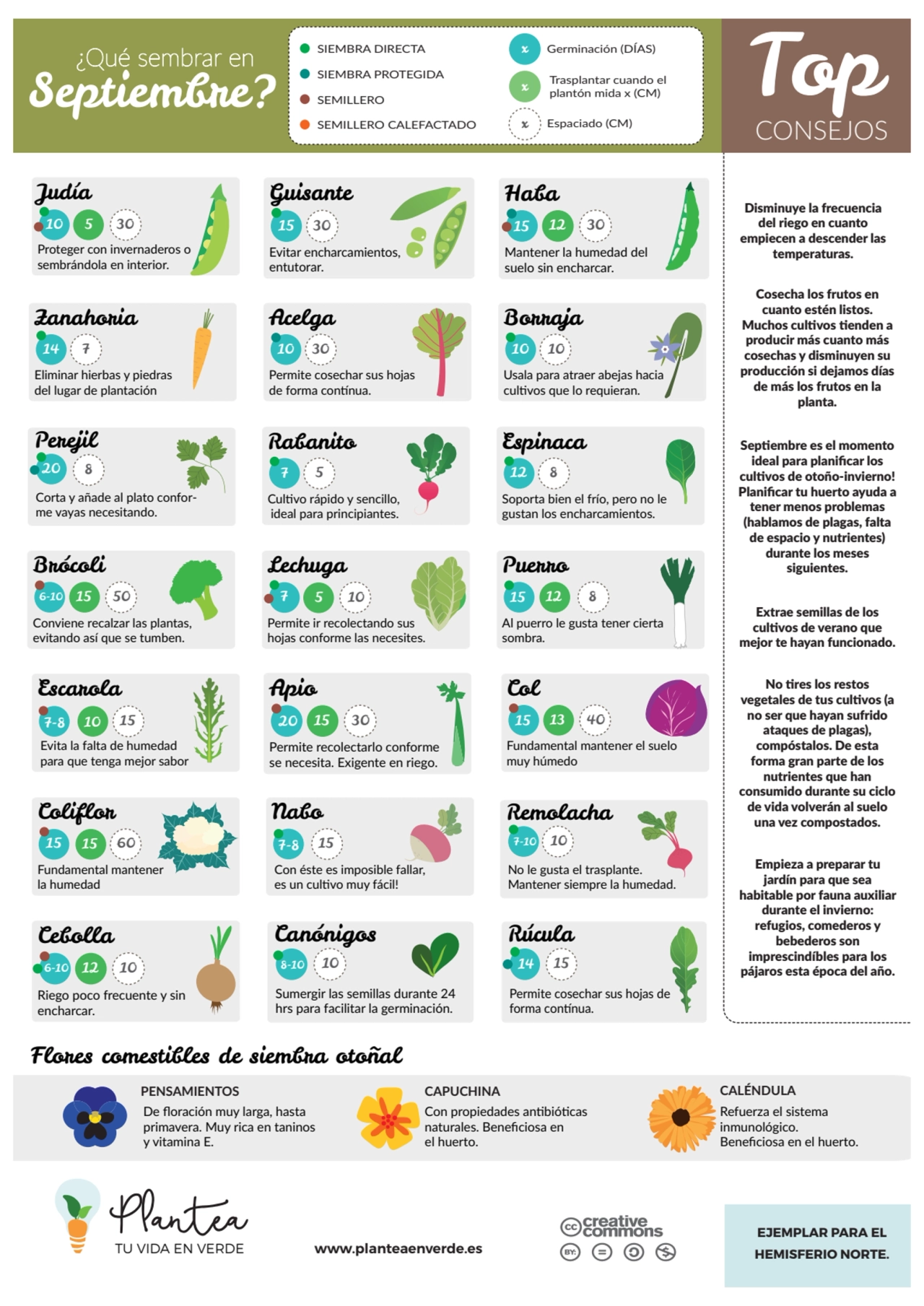 ¿Qué sembrar en SIEMBRA DIRECTA
SIEMBRA PROTEGIDA
SEMILLERO 
SEMILLERO CALEFACTADO 
Septiembre?…