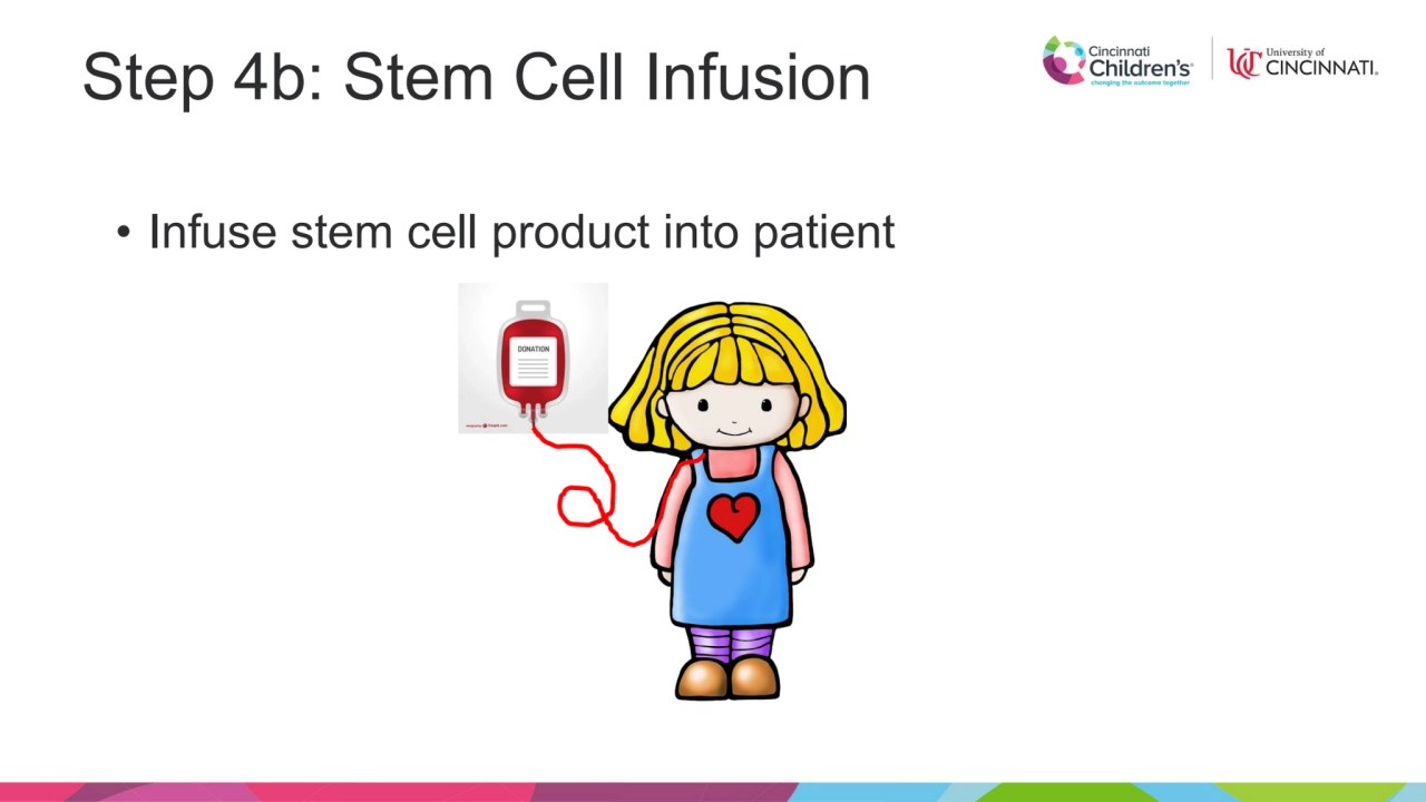 Step 4b: Stem Cell Infusion
• Infuse stem cell product into patient