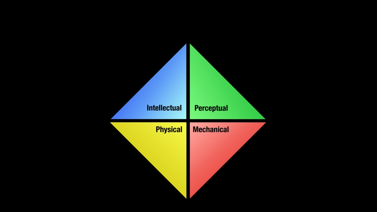 Intellectual Perceptual
Physical Mechanical