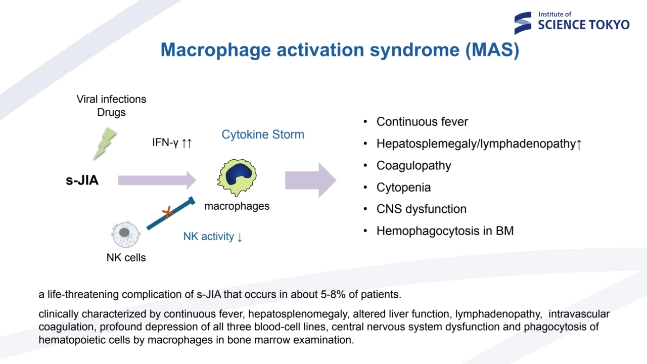 Macrophage activation syndrome (MAS)
s-JIA
Viral infections
Drugs
IFN-γ ↑↑
• Continuous fever
…