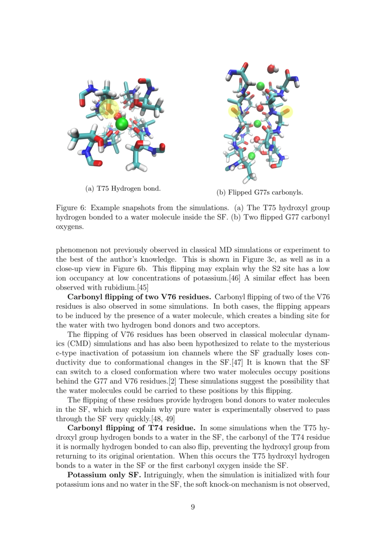 (a) T75 Hydrogen bond. (b) Flipped G77s carbonyls.
Figure 6: Example snapshots from the simulation…