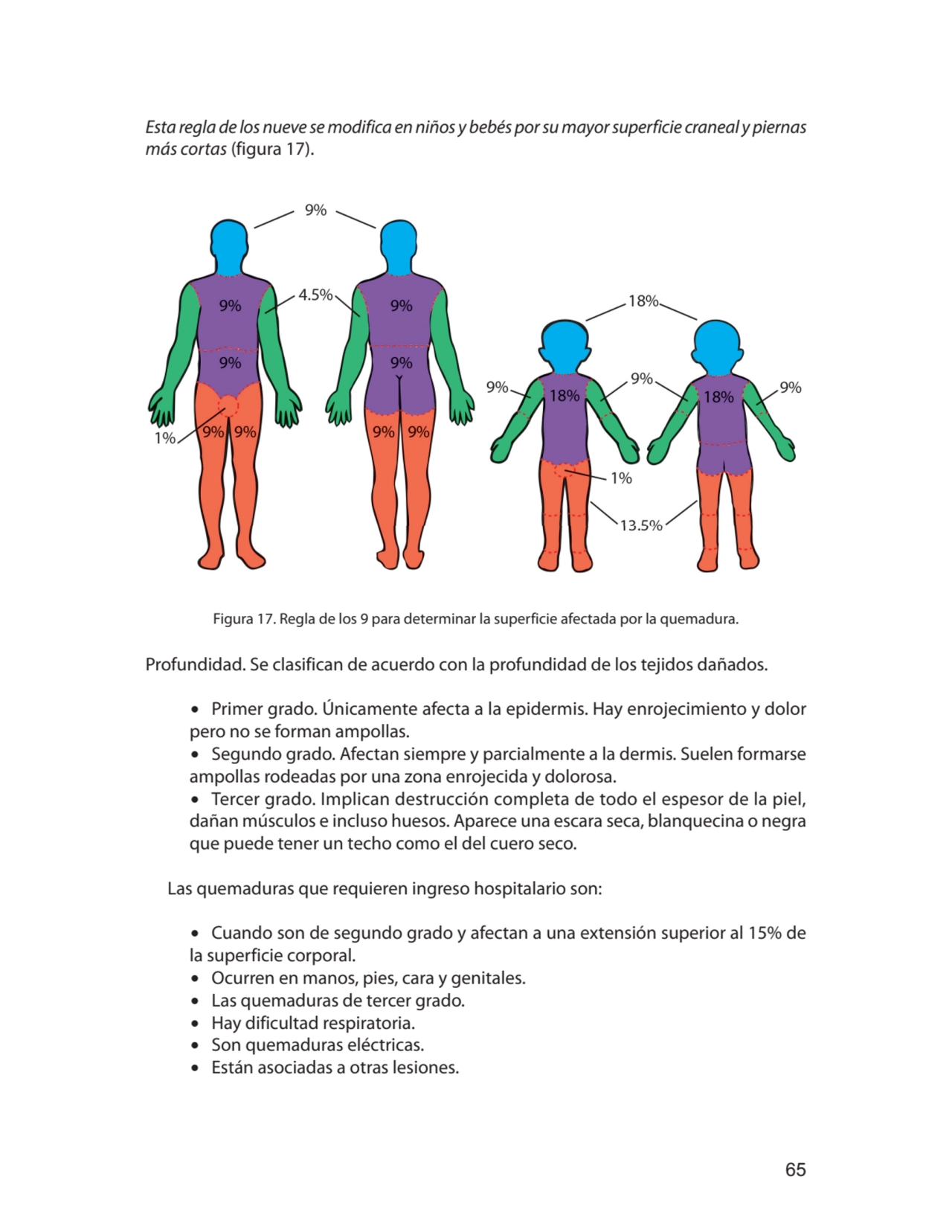 65
Esta regla de los nueve se modifica en niños y bebés por su mayor superficie craneal y piernas …