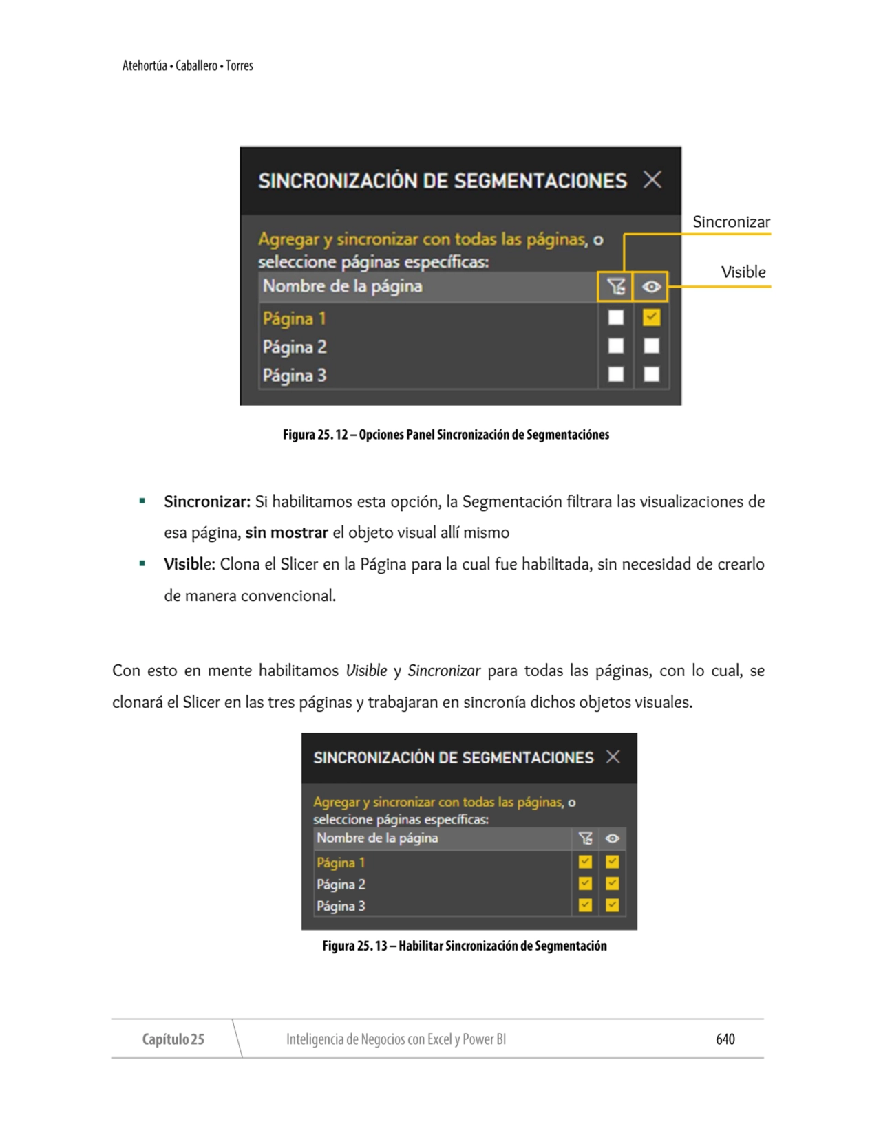 ▪ Sincronizar: Si habilitamos esta opción, la Segmentación filtrara las visualizaciones de 
esa pá…