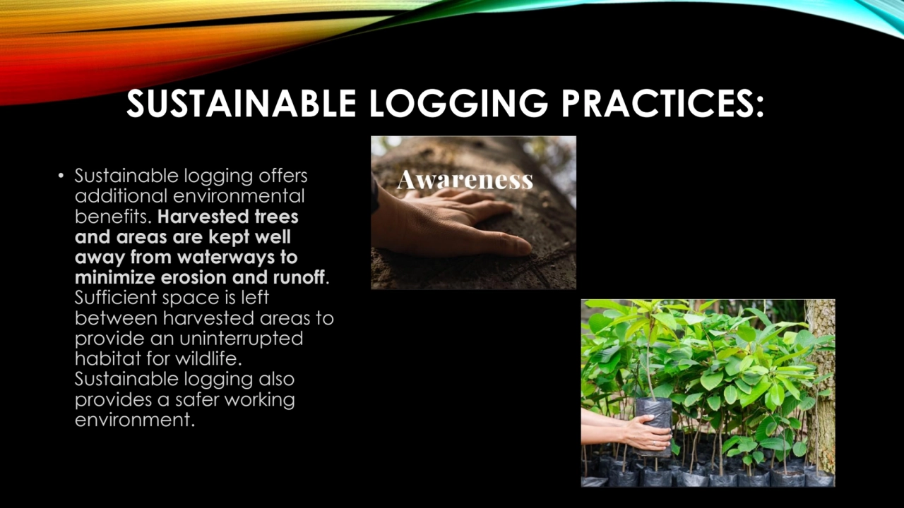 SUSTAINABLE LOGGING PRACTICES:
• Sustainable logging offers 
additional environmental 
benefits.…