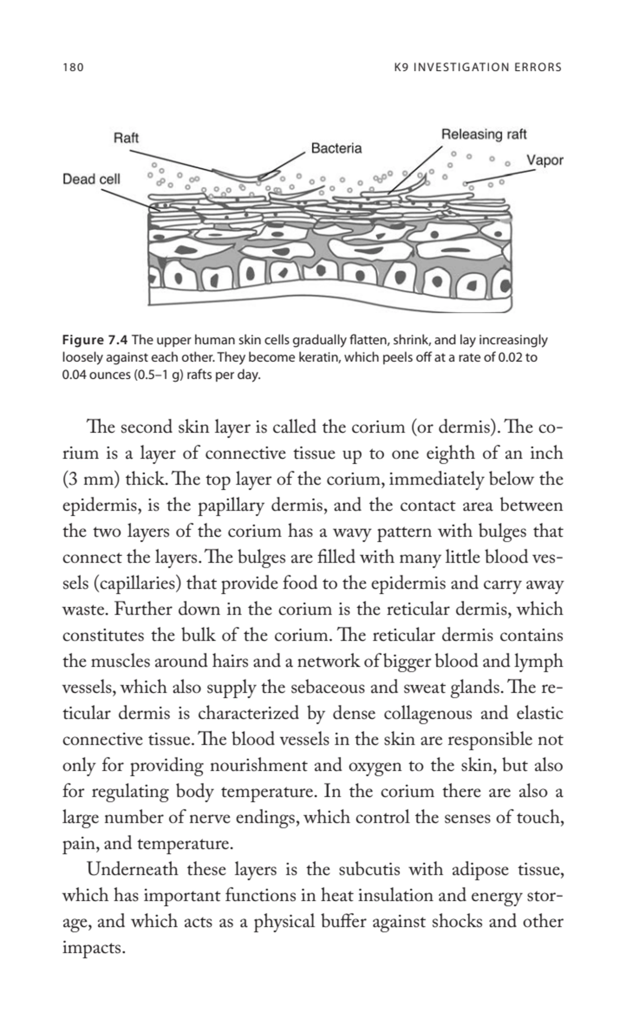 180 K9 INVESTIGATION ERRORS
The second skin layer is called the corium (or dermis). The corium is…