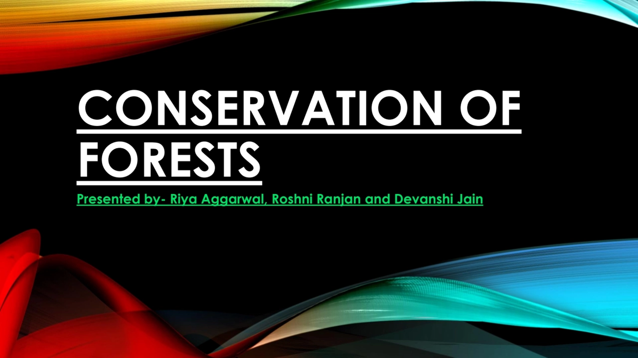 Conservation Of Forests 