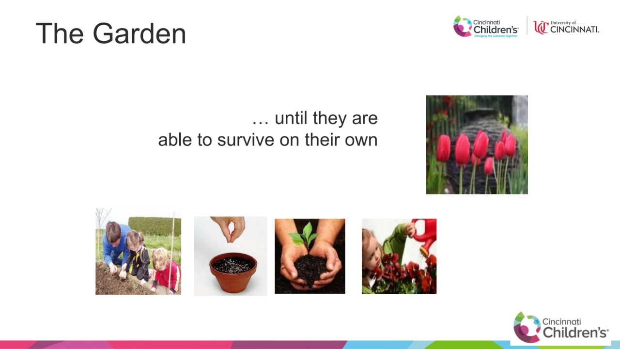 … until they are 
able to survive on their own
The Garden