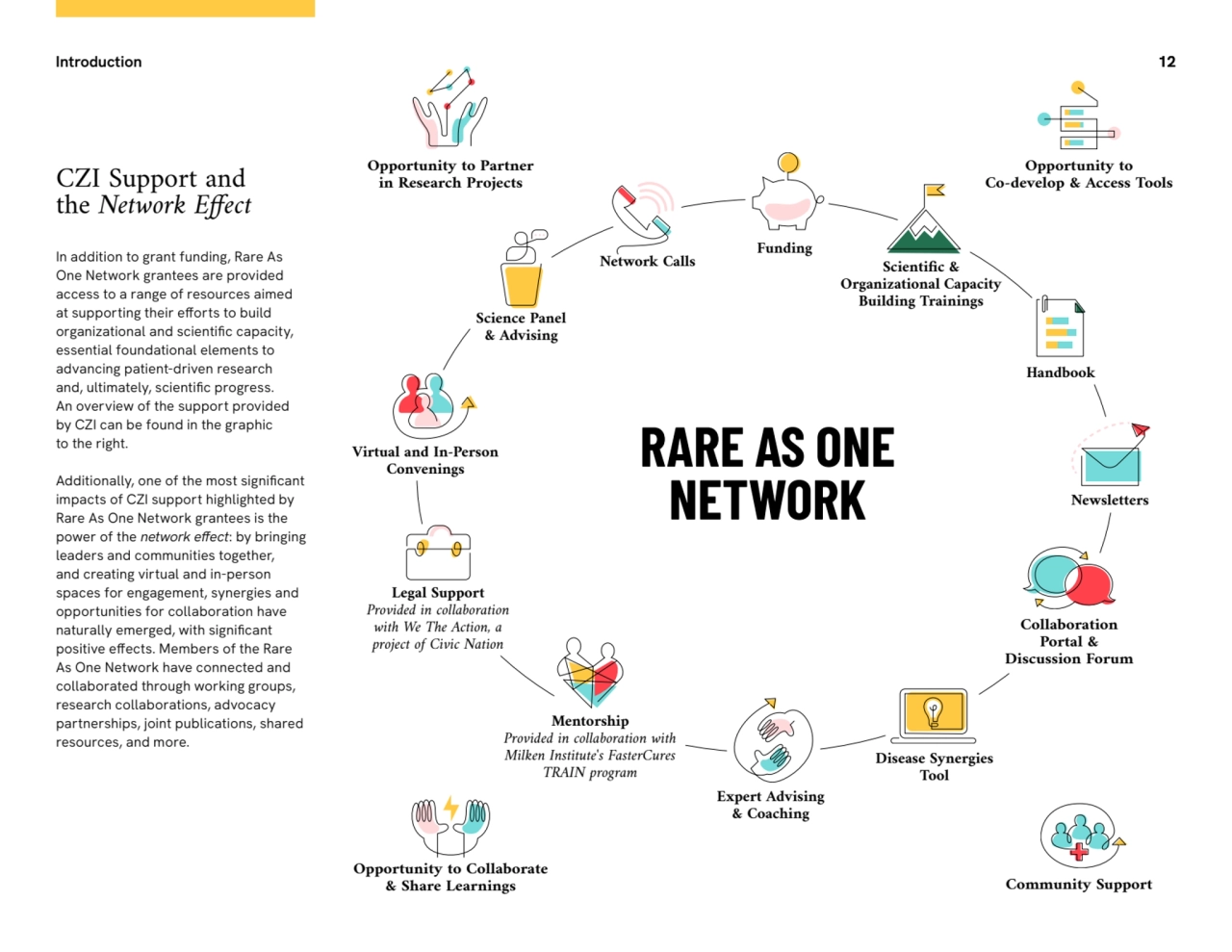 Introduction 12
CZI Support and 
the Network Effect
RARE AS ONE 
NETWORK
In addition to grant …