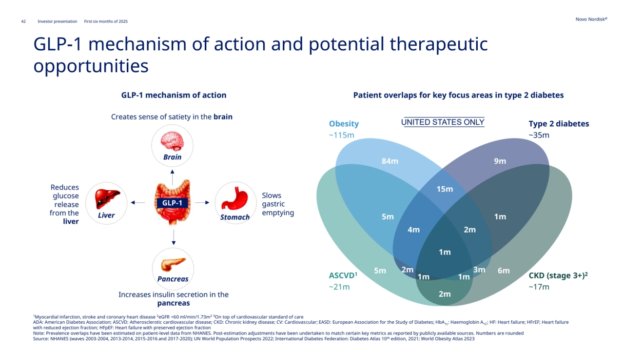 42 Novo Nordisk®
Investor presentation First six months of 2025
GLP-1 mechanism of action and potential therapeutic 
opportunities
GLP-1 mechanism of action
Creates sense of satiety in the brain
Reduces 
glucose 
release 
from the 
liver
Slows 
gastric 
emptying
Increases insulin secretion in the 
pancreas
Brain 
Pancreas 
Liver
GLP-1
Stomach
Patient overlaps for key focus areas in type 2 diabetes
Type 2 diabetes
~35m
CKD (stage 3+)2
~17m
UNITED STATES ONLY
ASCVD1
~21m
Obesity
~115m
84m 9m
15m
1m
4m 2m
1m
5m 6m
5m
2m
2m
1m 1m
3m
1Myocardial infarction, stroke and coronary heart disease 2eGFR <60 ml/min/1.73m2 3On top of cardiovascular standard of care
ADA: American Diabetes Association; ASCVD: Atherosclerotic cardiovascular disease; CKD: Chronic kidney disease; CV: Cardiovascular; EASD: European Association for the Study of Diabetes; HbA1c: Haemoglobin A1C; HF: Heart failure; HFrEF; Heart failure 
with reduced ejection fraction; HFpEF: Heart failure with preserved ejection fraction
Note: Prevalence overlaps have been estimated on patient-level data from NHANES. Post-estimation adjustments have been undertaken to match certain key metrics as reported by publicly available sources. Numbers are rounded
Source: NHANES (waves 2003-2004, 2013-2014, 2015-2016 and 2017-2020); UN World Population Prospects 2022; International Diabetes Federation: Diabetes Atlas 10th edition, 2021; World Obesity Atlas 2023