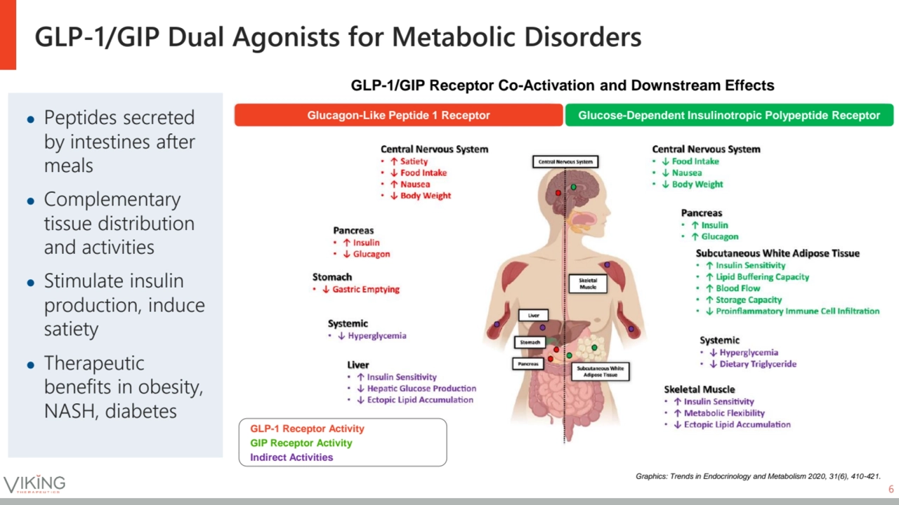 GLP-1/GIP Dual Agonists for Metabolic Disorders
6
GLP-1/GIP Receptor Co-Activation and Downstream…