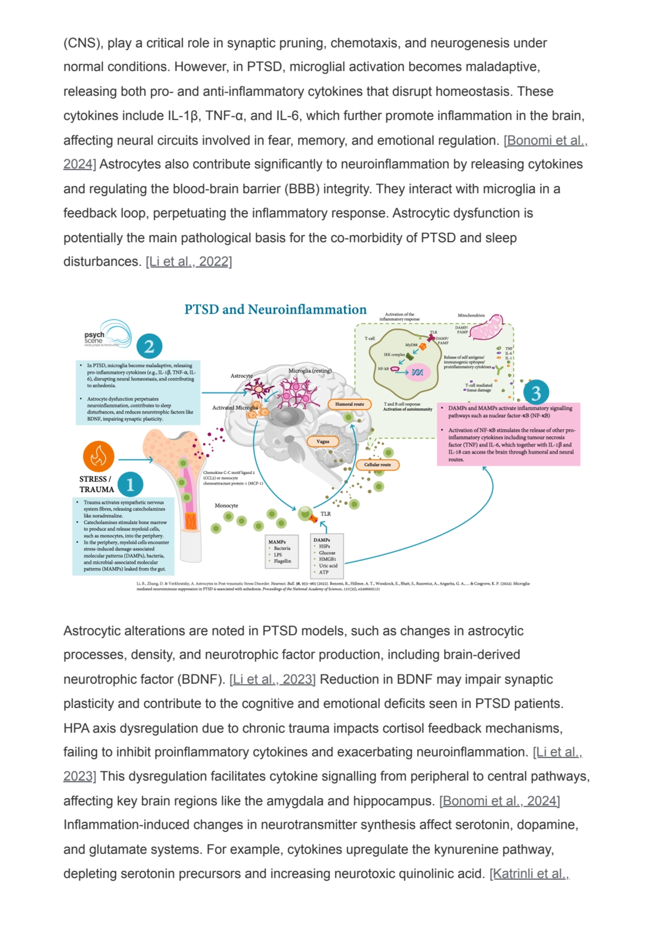 (CNS), play a critical role in synaptic pruning, chemotaxis, and neurogenesis under
normal conditi…