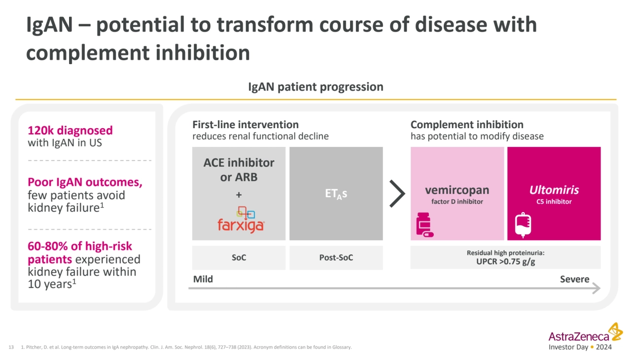 Investor Day • 2024
IgAN – potential to transform course of disease with 
complement inhibition 
…