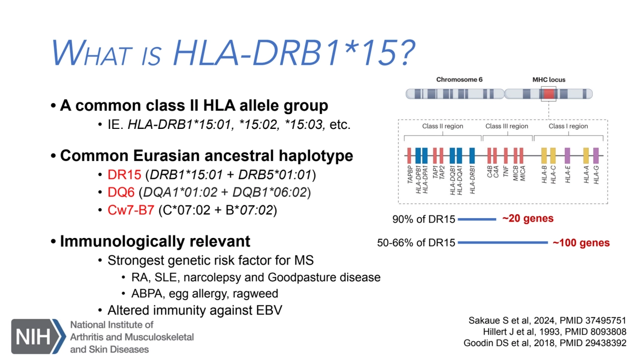 WHAT IS HLA-DRB1*15?
• A common class II HLA allele group
• IE. HLA-DRB1*15:01, *15:02, *15:03, e…