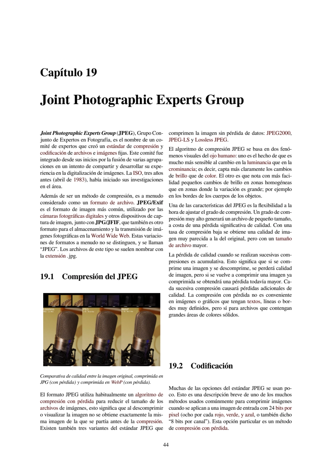 Capítulo 19
Joint Photographic Experts Group
Joint Photographic Experts Group (JPEG), Grupo Conj…