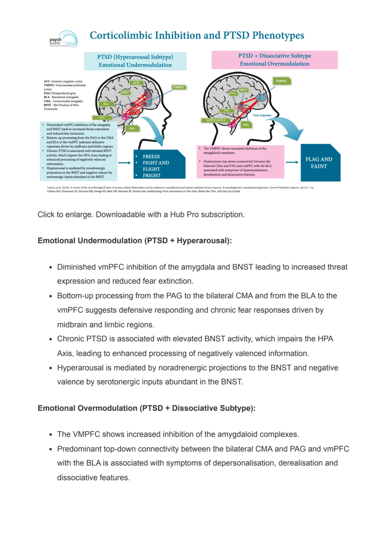 Click to enlarge. Downloadable with a Hub Pro subscription.
Emotional Undermodulation (PTSD + Hype…