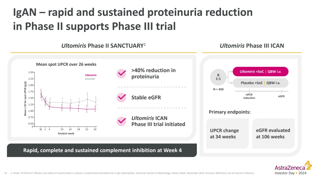 Investor Day • 2024
IgAN – rapid and sustained proteinuria reduction 
in Phase II supports Phase …