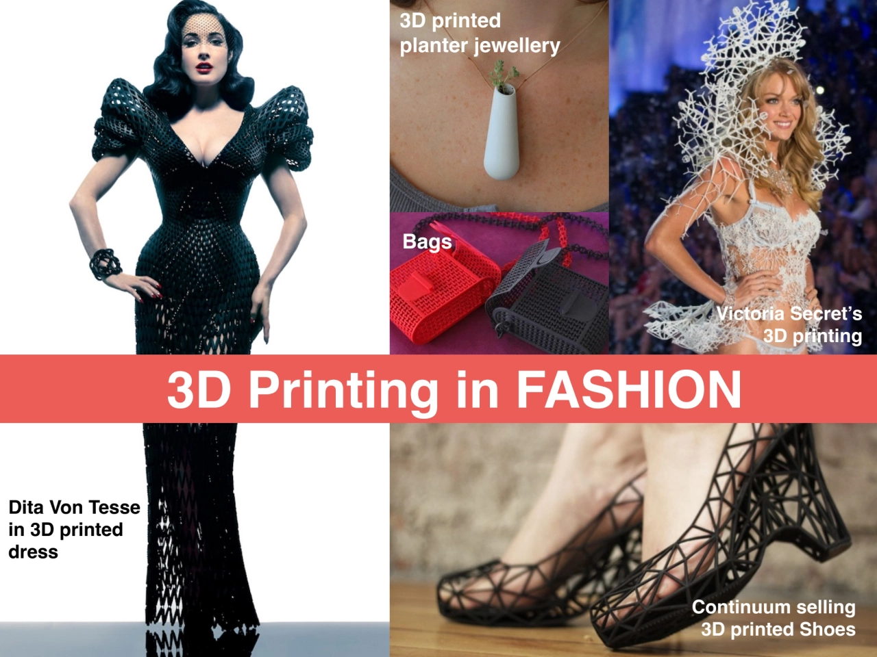 Dita Von Tesse
in 3D printed
dress
3D printed
planter jewellery
Bags
Victoria Secret’s
3D pr…