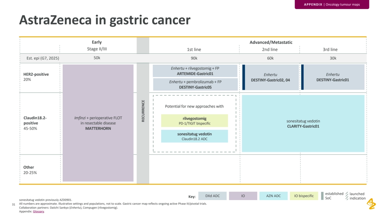 31
sonesitatug vedotin previously AZD0901.
All numbers are approximate. Illustrative settings and populations, not to scale. Gastric cancer map reflects ongoing active Phase III/pivotal trials. 
Collaboration partners: Daiichi Sankyo (Enhertu), Compugen (rilvegostomig). 
Appendix: Glossary.
RECURRENCE
Other
20-25%
HER2-positive
20%
Est. epi (G7, 2025) 50k 90k 60k 30k
1st line 2nd line 3rd line
Early
Stage II/III
Advanced/Metastatic
Imfinzi + perioperative FLOT 
in resectable disease
MATTERHORN
Enhertu + rilvegostomig + FP
ARTEMIDE-Gastric01
Enhertu + pembrolizumab + FP
DESTINY-Gastric05
Enhertu
DESTINY-Gastric02, 04
Enhertu
DESTINY-Gastric01
sonesitatug vedotin
CLARITY-Gastric01
established 
SoC
launched 
indication
AstraZeneca in gastric cancer
Key: DXd ADC IO AZN ADC IO bispecific
Claudin18.2-
positive
45-50%
sonesitatug vedotin
Claudin18.2 ADC
rilvegostomig
PD-1/TIGIT bispecific
Potential for new approaches with
APPENDIX | Oncology tumour maps