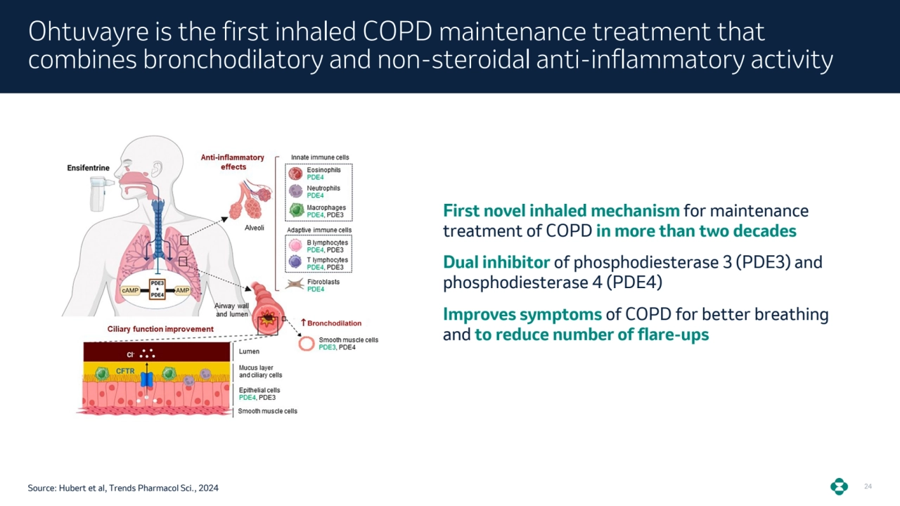 24
Ohtuvayre is the first inhaled COPD maintenance treatment that 
combines bronchodilatory and non-steroidal anti-inflammatory activity
First novel inhaled mechanism for maintenance 
treatment of COPD in more than two decades
Dual inhibitor of phosphodiesterase 3 (PDE3) and 
phosphodiesterase 4 (PDE4)
Improves symptoms of COPD for better breathing 
and to reduce number of flare-ups
Source: Hubert et al, Trends Pharmacol Sci., 2024