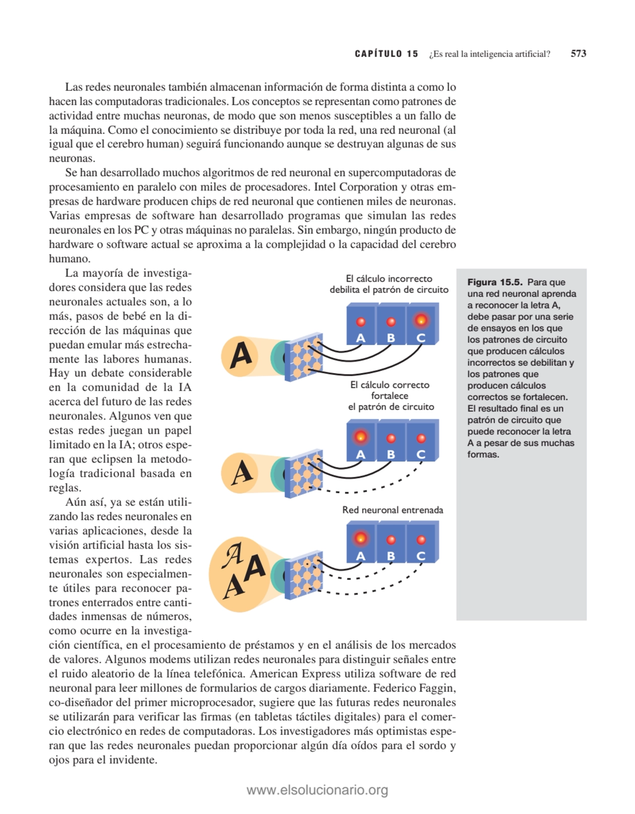 Las redes neuronales también almacenan información de forma distinta a como lo
hacen las computado…