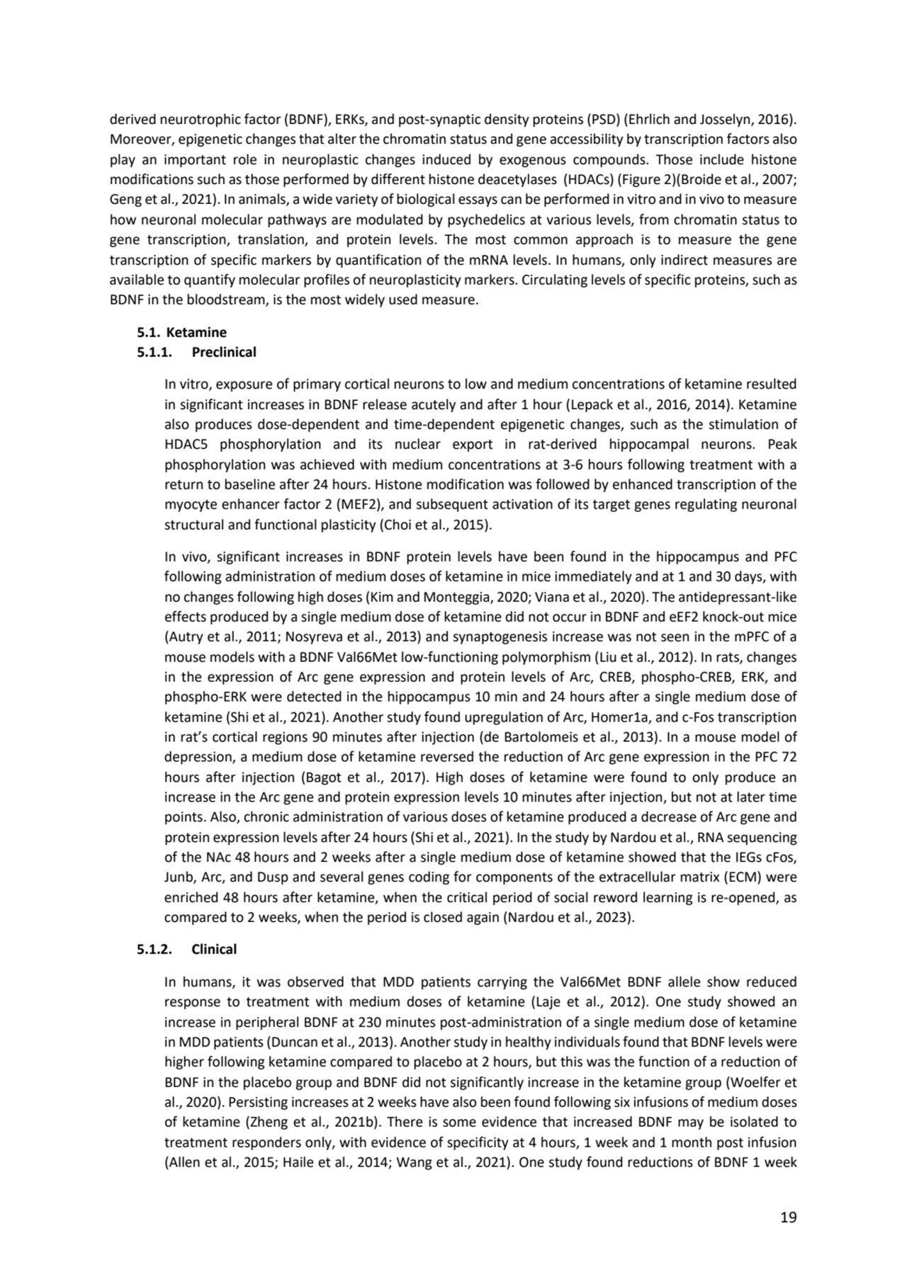 19
derived neurotrophic factor (BDNF), ERKs, and post-synaptic density proteins (PSD) (Ehrlich and…