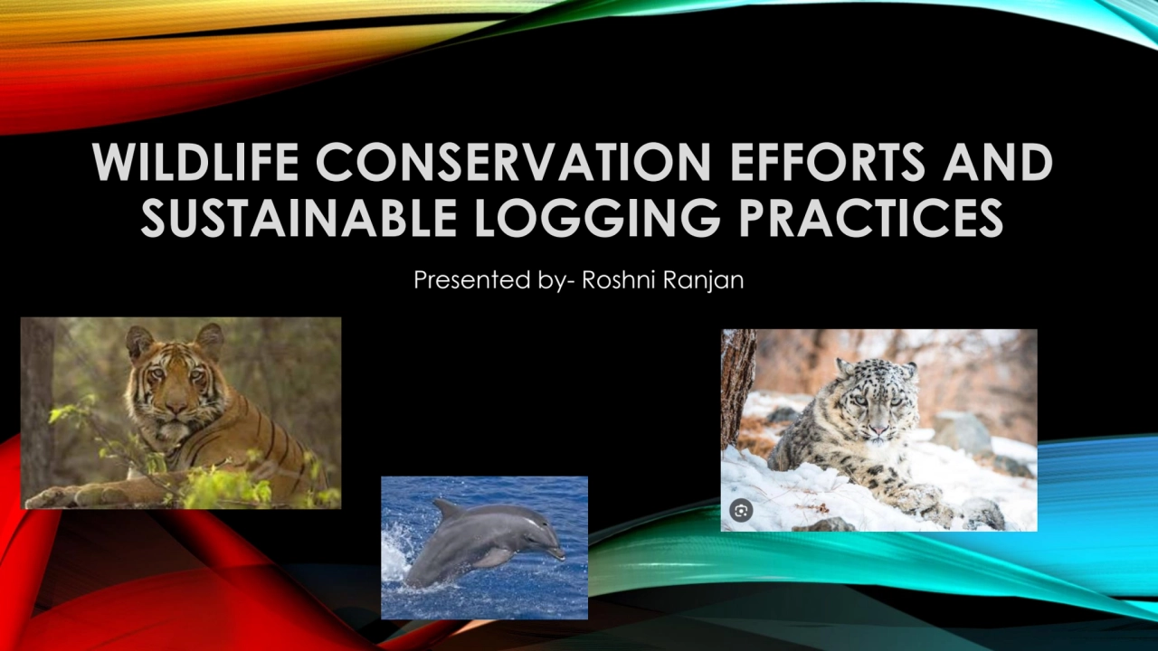 WILDLIFE CONSERVATION EFFORTS AND 
SUSTAINABLE LOGGING PRACTICES
Presented by- Roshni Ranjan