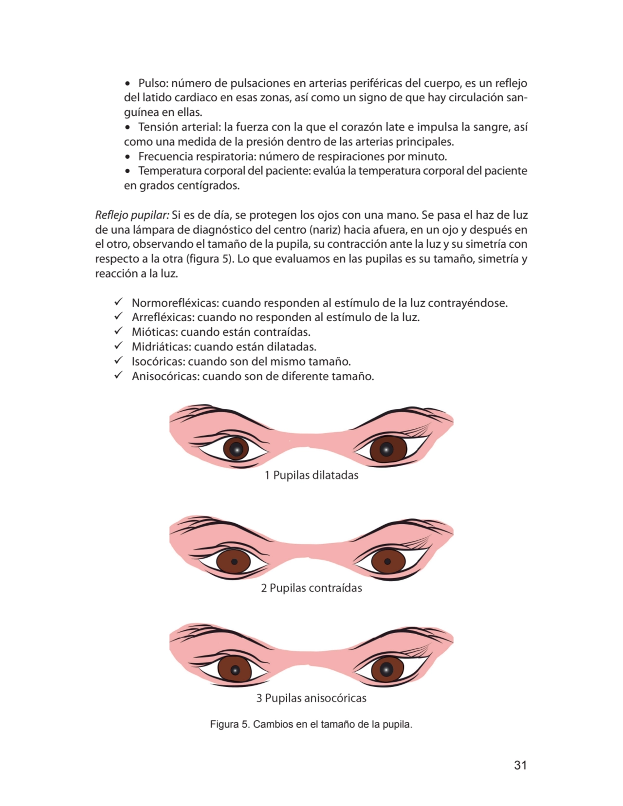 31
∙ Pulso: número de pulsaciones en arterias periféricas del cuerpo, es un reflejo 
del latido c…