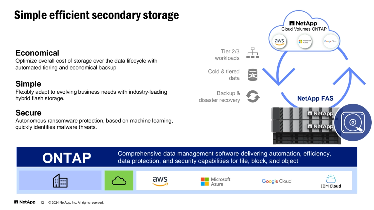 12 © 2024 NetApp, Inc. All rights reserved.
Comprehensive data management software delivering automation, efficiency, ONTAP data protection, and security capabilities for file, block, and object
NetApp FAS
Tier 2/3 
workloads
Cold & tiered 
data
Backup & 
disaster recovery
Cloud Volumes ONTAP
Simple efficient secondary storage
Economical
Optimize overall cost of storage over the data lifecycle with 
automated tiering and economical backup
Simple
Flexibly adapt to evolving business needs with industry-leading 
hybrid flash storage.
Secure
Autonomous ransomware protection, based on machine learning, 
quickly identifies malware threats.