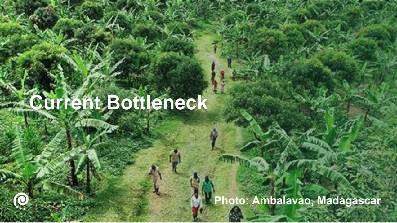 Photo: Ambalavao, Madagascar
Current Bottleneck